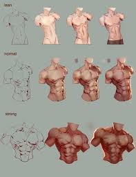 Muscles in human body video lesson by drawing academy drawing. Pin On Art Tutorials And References