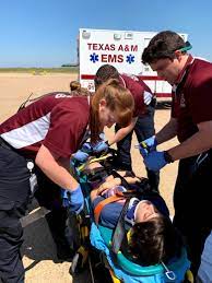 Learn how to launch your career. Employment Texas A M University Ems