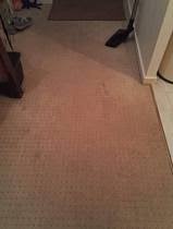 landlord refusing to replace carpet