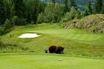 10 best mountain golf destinations in North America
