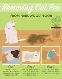 Remove Pet Urine From Wood Floors