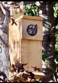 Owl Nesting Box Handmade