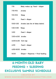The Best 6 Month Old Baby Schedule And Its Printable