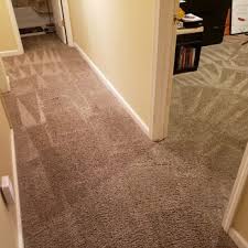 tiger paws carpet upholstery cleaning