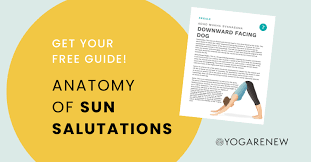 anatomy of sun salutations surya