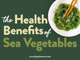 the health benefits of sea vegetables