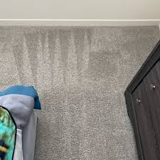 citywide carpet cleaning 179 photos