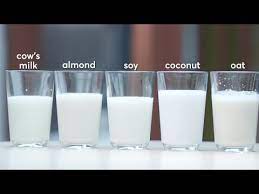 are plant milks healthier choices than