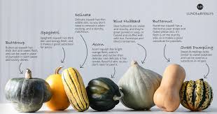 l b guide to winter squash lunds