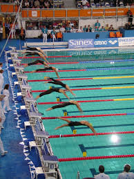 Olympics swimming illustrations & vectors. Freestyle Swimming Wikipedia
