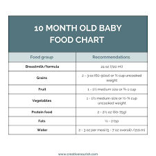 10 months old baby food t chart