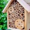 About 50 feet from the nest, dig a hole, line it with plastic, and fill it with soil or a mason bee mix. 1