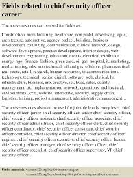 Top 8 Chief Security Officer Resume Samples