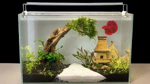 diy how to decorate fish tank at home