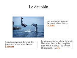 Le dauphin Les dauphins sautent; ils vivent dans la mer. Camille - ppt  télécharger