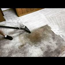 a1 carpet upholstery cleaners