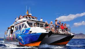 daily boat trips cruises in caleta de