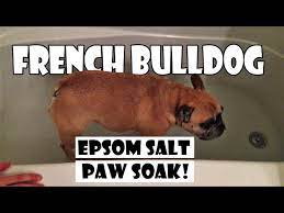french bulldog epsom salt bath soak