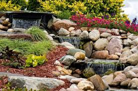 Rock Gardens How To Create The