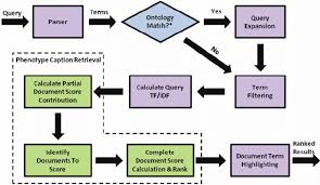Flow Chart For Search Engine Retrieval From Query