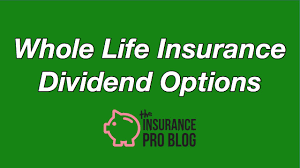 So we wanted to have an updated list of whole life insurance dividend history. Whole Life Insurance Dividend Options Youtube