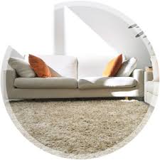 pro steam carpet care carpet cleaning