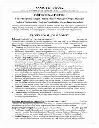 Senior Technical Project Manager Job Description Senior Technical