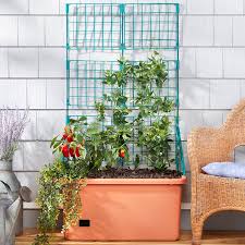 Mobile Vegetable Planter With Trellis