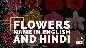 100 flowers name in english and hindi