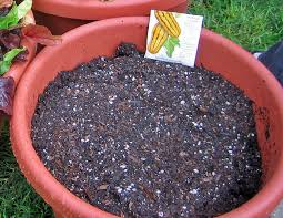 Potting Soil Wikipedia