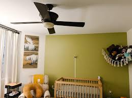 why es like ceiling fans and why it