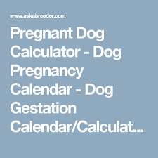 Pregnant Dog Calculator Dog Pregnancy Calendar Dog
