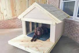 Dog House Ideas For The Special Pup In