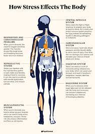 how stress affects you physically i