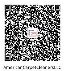 american carpet cleaners llc carpet