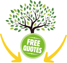 Physically remove the roots yourself. Tree Removal Emergency Tree Service Woodlands Tx