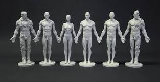 We are medical artists who love anatomy. List Of Anatomy Human Figure Mannequins For Artists Parka Blogs