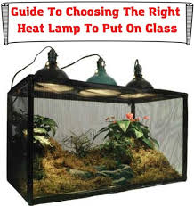 can you put a heat lamp on glass some