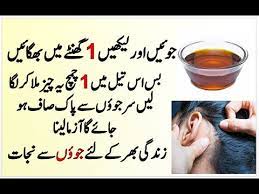 head lice in urdu hindi