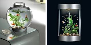The modern fish tank is a 2 tile wide piece of furniture. Awesome Small Indoor Aquarium Ideas 650065 Aquarium Wall Aquarium Cool Fish Tanks