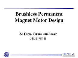 brushless permanent magnet motor design