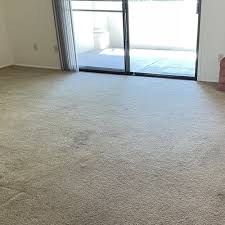 carpet cleaning near nogales az