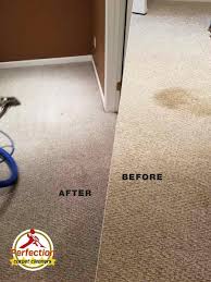 perfection carpet cleaners