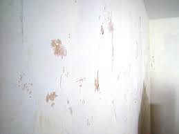 Paint Walls After Removing Wallpaper On