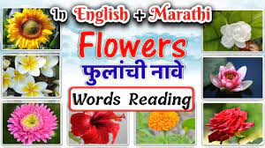 flowers name in english and marathi