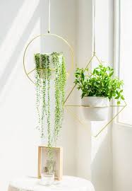 decorating your small space with plants
