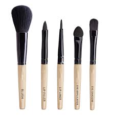 premium wooden set of 5 mini brushes