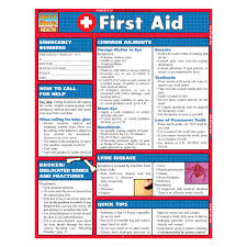 Quickstudy Laminated Reference Guides First Aid