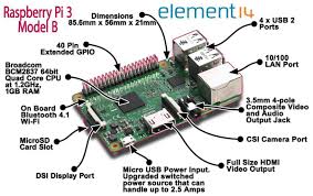 arduino vs raspberry pi which is