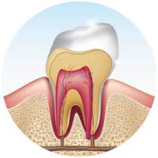 If you have a toothache or even several painful teeth, you might assume you've got a cavity, abscessed tooth several teeth feel sore; How To Sleep With A Toothache Help You Rest Sleep